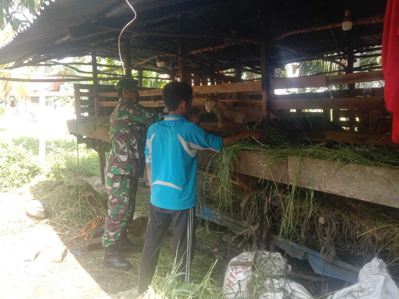 Babinsa Koramil 01/Dumai Kampanye Cegah PMK di Kelurahan Buluh Kasap