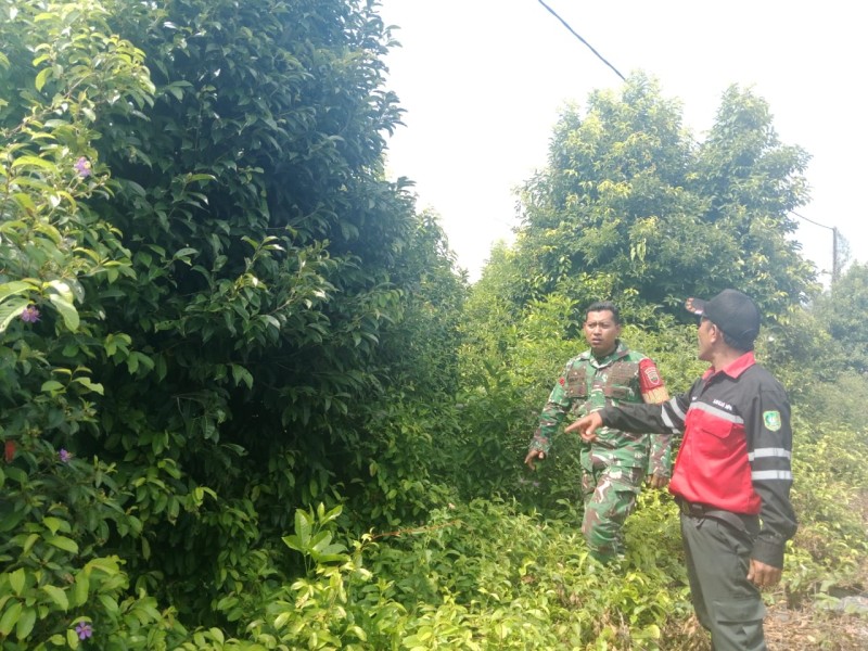 Patroli dan Sosialisasi Babinsa di Bagan Melibur Cegah Karhutla