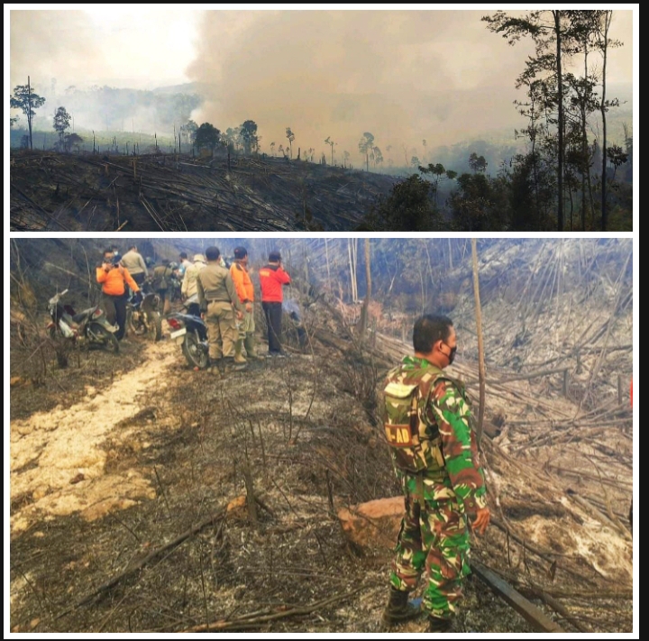 50 Hektar Lahan di Kawasan Hutan Lindung Bukit Suligi Dilalap Sijago Merah