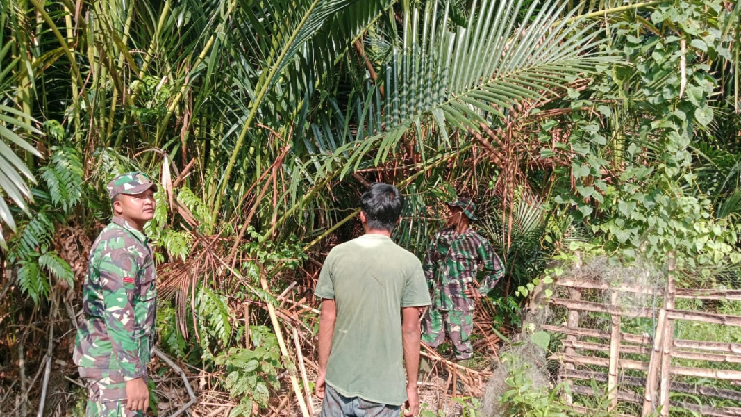 Rutin Gelar Patroli, Babinsa Koramil 06/Merbau Jaga Kelestarian Hutan