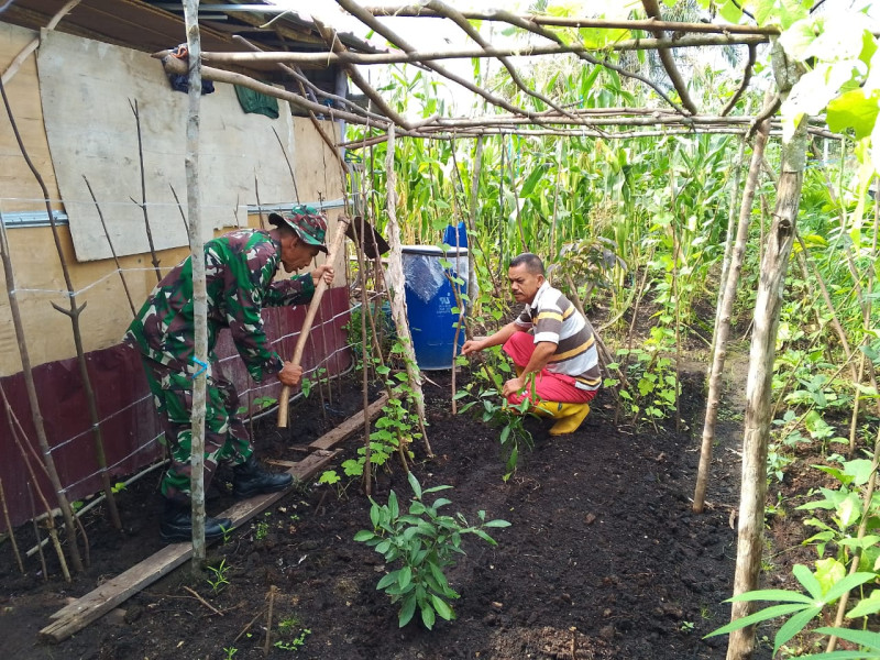 Sertu Nono S. Berikan Pendampingan Karya Nyata pada Petani Gambas di RT 11