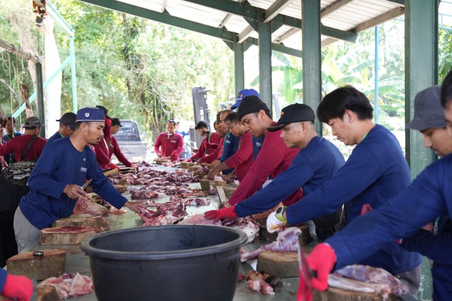 Tebar Manfaat di Hari Raya Idul Adha 1447, Pertamina Patra Niaga Kilang Dumai Salurkan 100 Hewan Kurban untuk Masyarakat dan Dukung Peternak Lokal