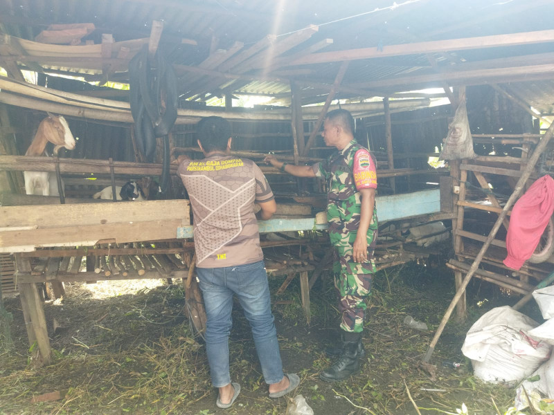 Sertu Abu Kosim Gelar Sosialisasi Cegah PMK di RT 20 Kelurahan Ratu Sima