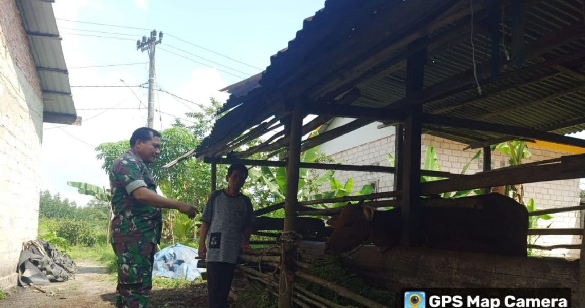 Mencegah PMK, Serka Albinur Lubis Sambangi Peternakan