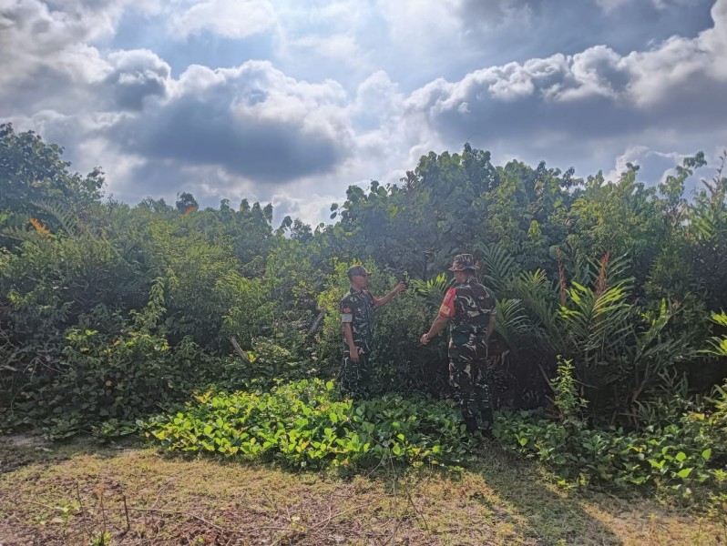 Patroli Karhutla Rutin Digelar Babinsa di Desa Selat Akar