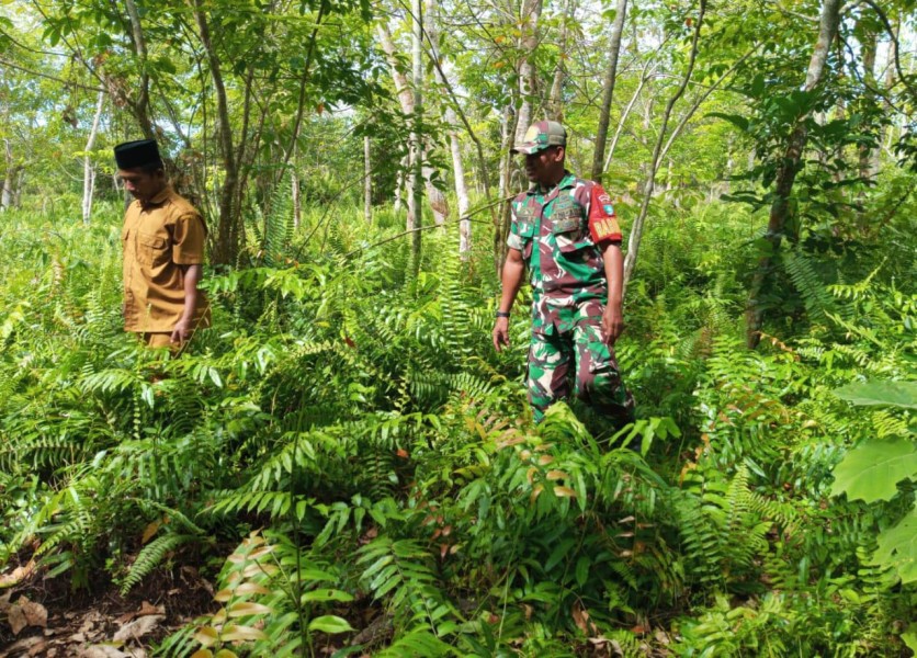 Patroli Karhutla Ditingkatkan, Babinsa Pastikan Wilayah Rentan Tetap Terpantau