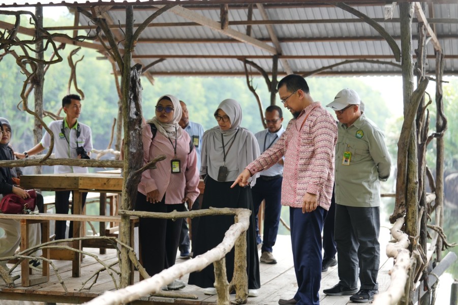 Perkuat Kolaborasi Dekarbonisasi, PT KPI dan Universitas Riau Teken Kerja Sama Pemeliharaan Mangrove