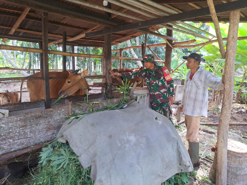 Ternak Sehat, Kandang Bersih, Pesan Babinsa Dumai Untuk Warga RT 28