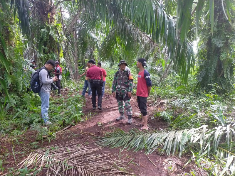 Patroli Guna Cegah Karhutla Oleh Pelda Tovani