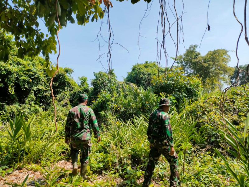 Patroli Rutin Babinsa Koramil 06 untuk Lindungi Hutan Desa Renak Dungun