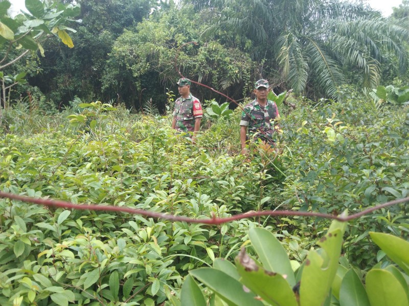 Babinsa Koramil 06/Merbau Imbau Masyarakat Tidak Buka Lahan dengan Cara Dibakar