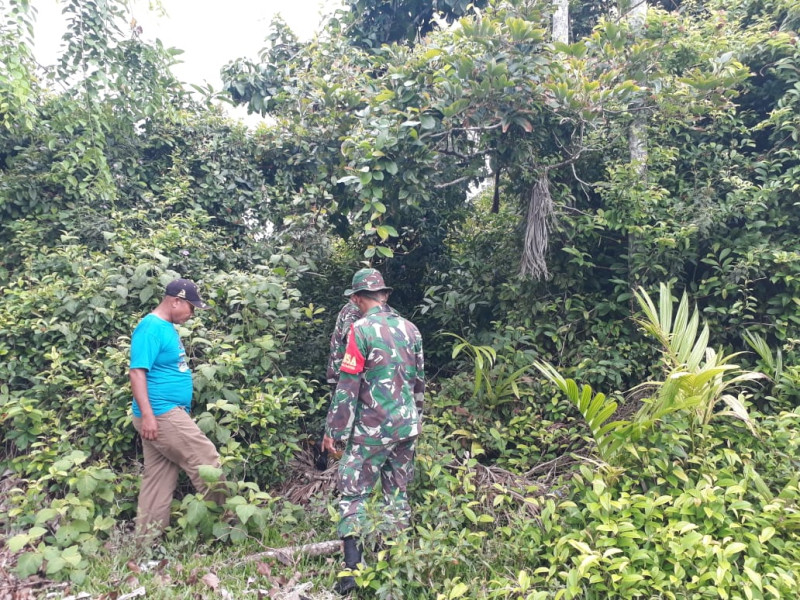 Peltu A. Nababan dan Kopda Ricko Intensifkan Patroli Karhutla di Desa Bandul