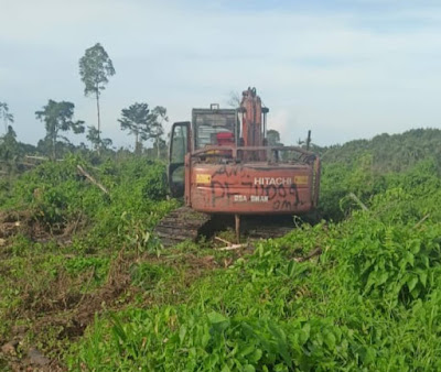 Diduga Tanpa Izin, Disinyalir Rit dan AR Bebas Menggarap Hutan di Sungai Sembilan