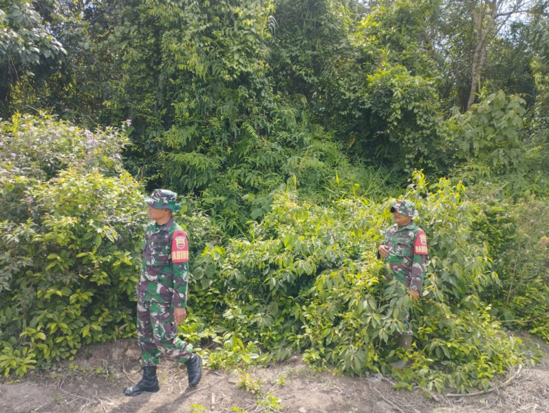 Patroli Rutin Babinsa Koramil 06/Merbau, Pastikan Desa Padang Kamal Bebas Karhutla