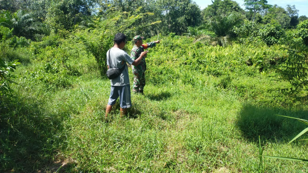 Bersama Petani Terong Ungu, Babinsa Bagan Besar Timur Perkuat Ketahanan Pangan
