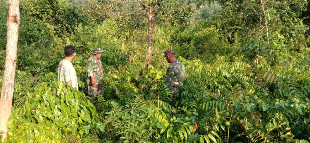 Pelda A. Nababan dan Serda Edi Saputra Pimpin Patroli Karhutla di Desa Bandul Kecamatan Tasik Putri Puyu