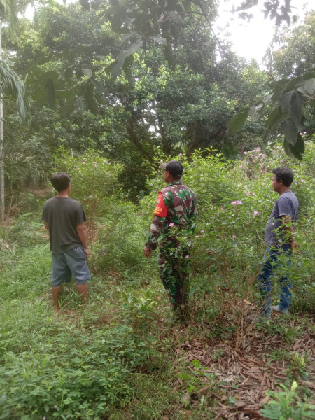 Patroli Guna Cegah Karhutla Oleh Sertu Afnal