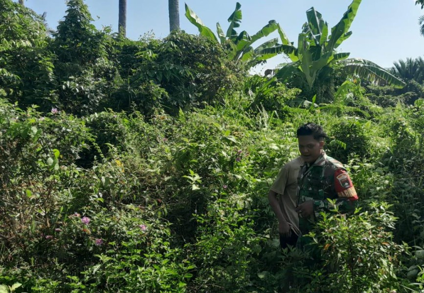 Komsos Babinsa Dorong Warga Tidak Buka Lahan dengan Cara Membakar