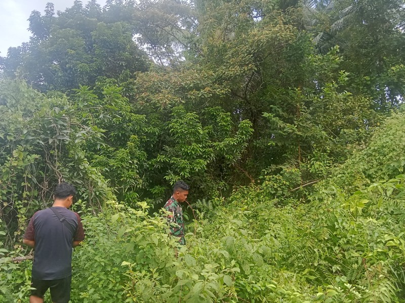 Sinergi Babinsa dan Warga, Patroli Rutin Jadi Upaya Cegah Karhutla di Merbau
