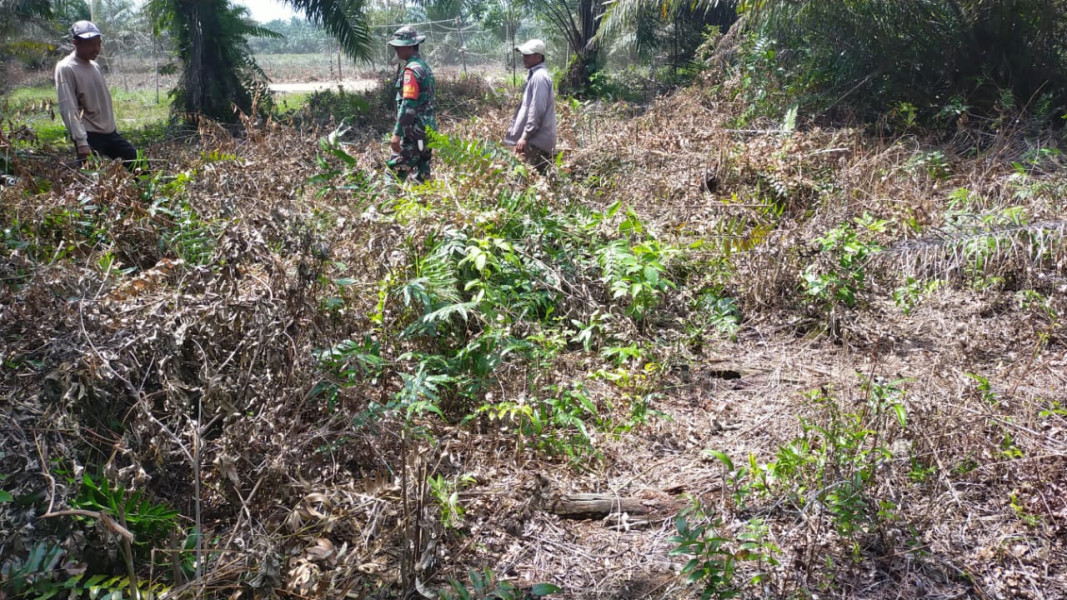 Babinsa Koramil 03 Berikan Pemahaman Bahaya Karhutla