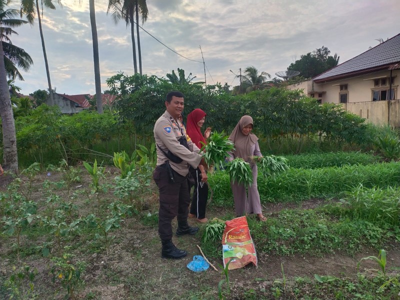 Melalui Pekarangan Bergizi, Polsek Dumai Barat Dorong Penguatan Ketahanan Pangan