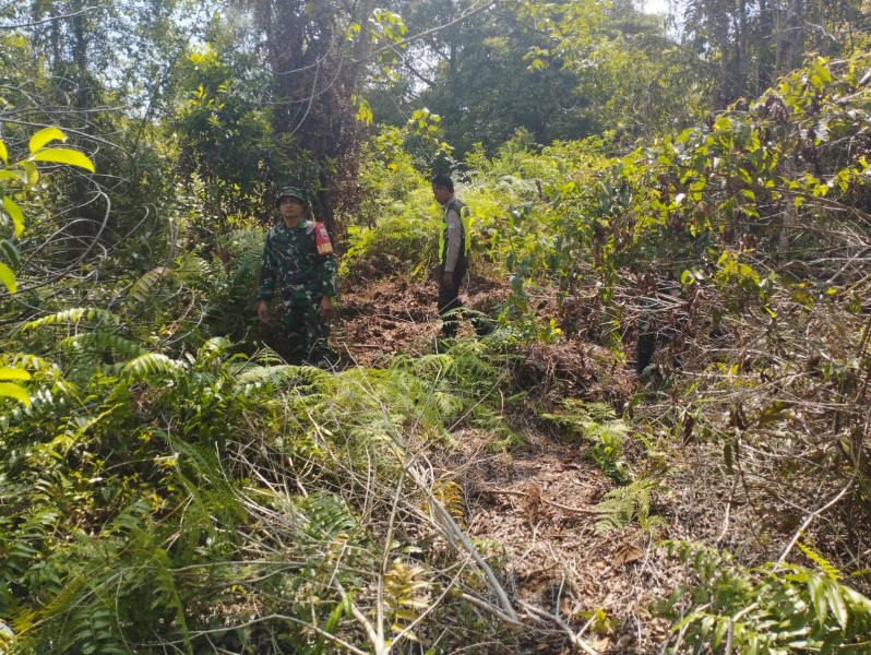 Patroli Humanis Babinsa Dorong Kesadaran Masyarakat Cegah Kebakaran Hutan