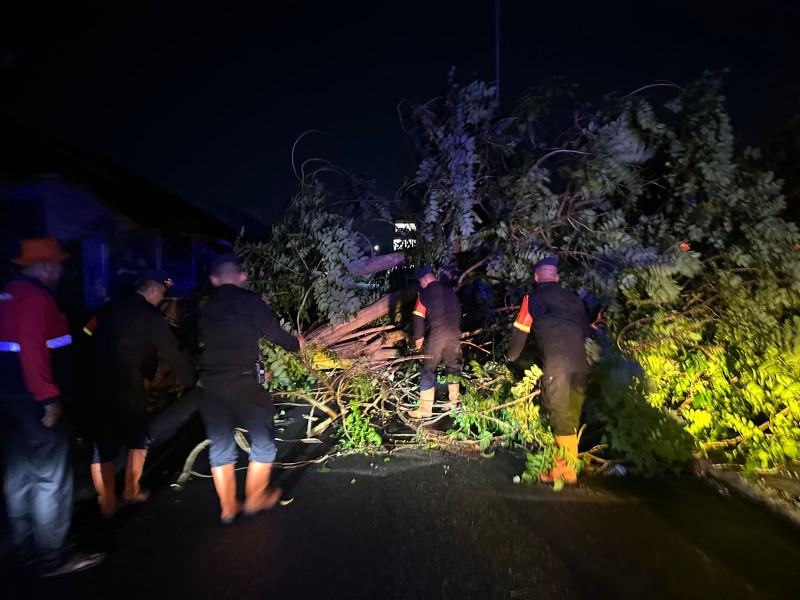 Brimob Polda Sumut Sigap Evakuasi Pohon Tumbang, Wujud Nyata Kehadiran di Tengah Masyarakat Pematangsiantar