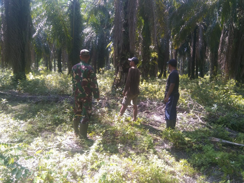 Serda Erwan Tekankan Pentingnya Agroforestri dalam Cegah Kebakaran Lahan