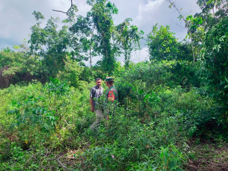 Turun ke Lapangan, Sertu Ansari Ingatkan Ancaman Hukum Pembakar Lahan