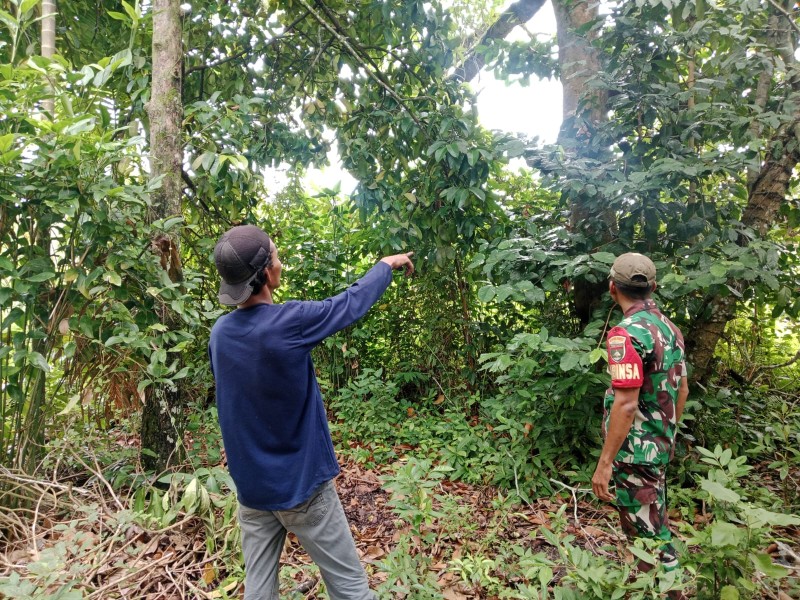Patroli Karhutla Babinsa Koramil 06/Merbau Perketat Pengawasan Lahan Rawan Kebakaran di Kepulauan Meranti