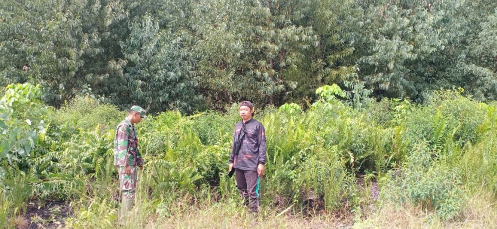 Patroli Rutin Babinsa di Kepulauan Meranti, Nihil Titik Api dan Asap