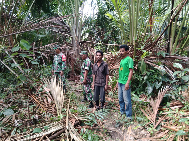 Sinergi Babinsa dan Warga Desa Dedap Cegah Kebakaran Hutan