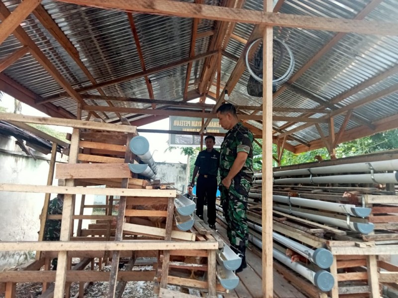 Budidaya Ayam Petelur Kodim 0320/Dumai, Langkah Nyata TNI Perkuat Pangan Lokal