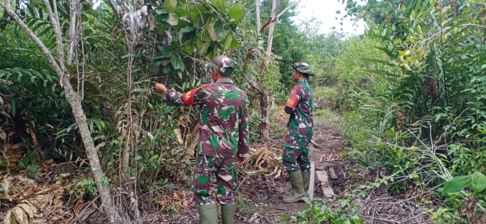 Sosialisasi Babinsa di Desa Lukit: Lindungi Lingkungan, Hindari Bakar Hutan