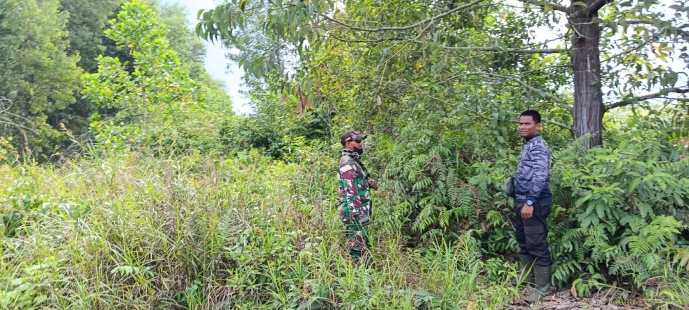 Antisipasi Dini Karhutla, Koramil 06/Merbau Perkuat Patroli dan Edukasi Warga