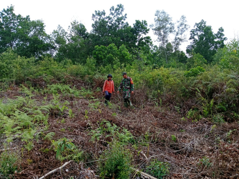Babinsa dan Warga Bersinergi Cegah Karhutla di Tanjung Palas