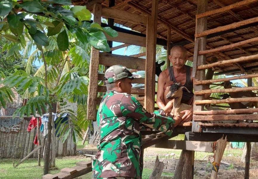 Babinsa Lakukan Deteksi Dini Penyakit Ternak di Tasik Putri Puyu