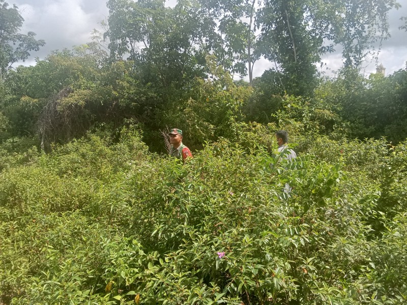 Wilayah Gambut Dipantau Ketat, Babinsa Pastikan Tidak Ada Titik Api