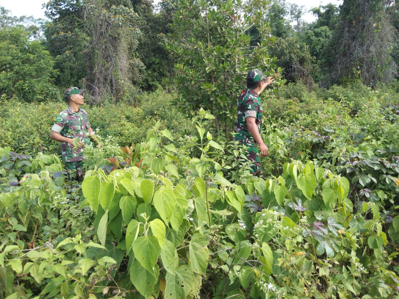 Patroli Karhutla, Babinsa Ingatkan Warga Bahaya Pembakaran Lahan