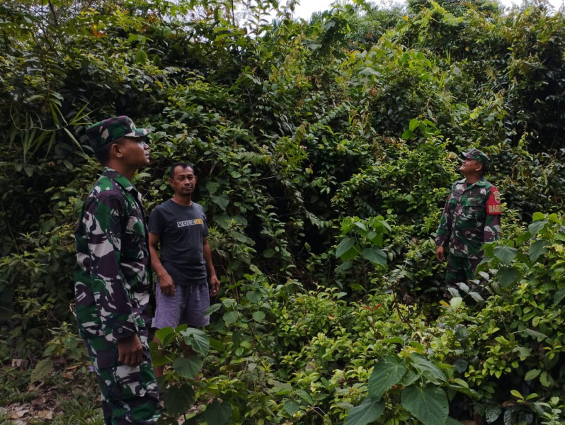 Babinsa Koramil 06/Merbau Perketat Pengawasan Untuk Cegah Kebakaran Hutan dan Lahan