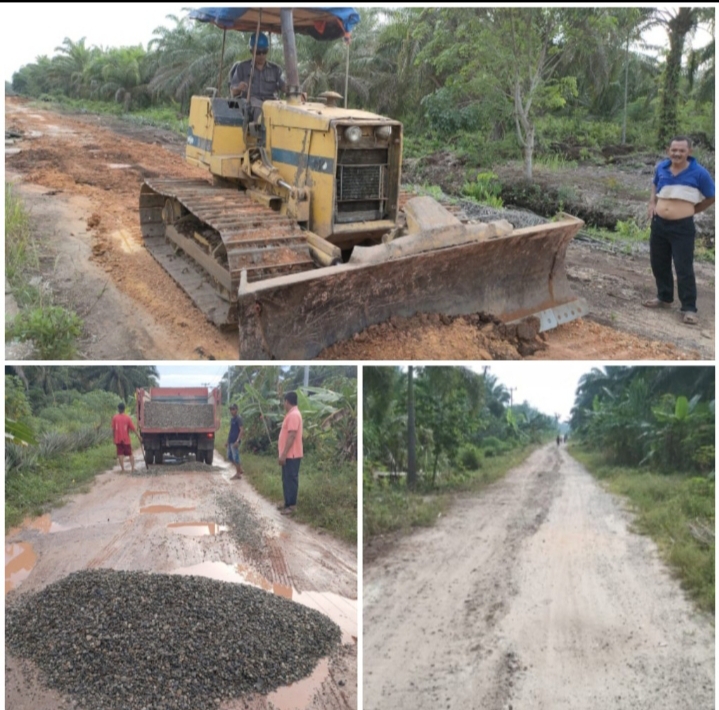 PT SDS (Apical) Kembali Lanjutkan Perawatan Jalan Sukajadi RT 05 Lubuk Gaung