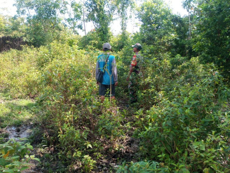 Cegah Karhutla, Personel Koramil 06/Merbau Pantau Lahan Gambut dan Sumber Air