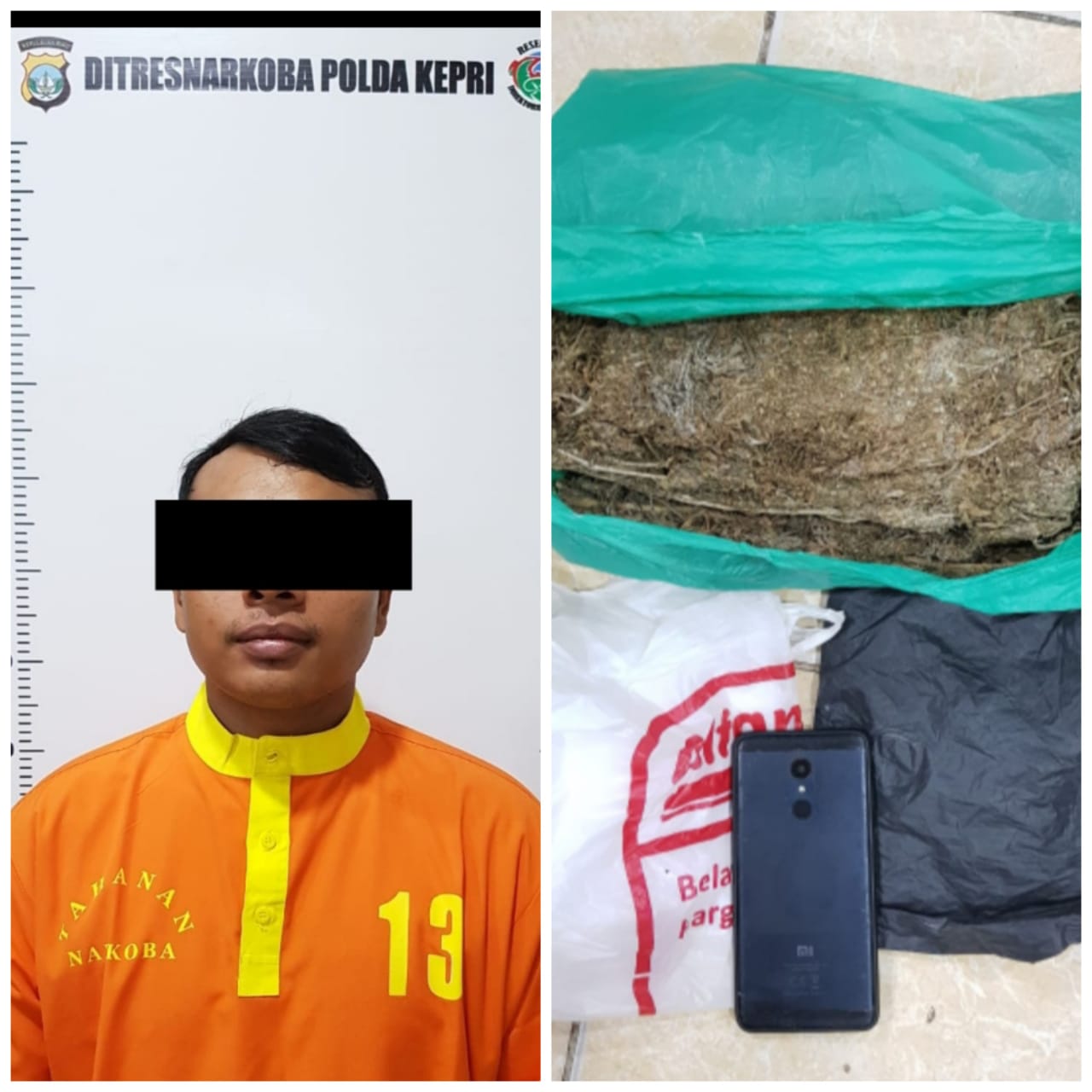 DIT RESNARKOBA POLDA KEPRI BERHASIL MENGAMANKAN SEORANG TERSANGKA PEMILIK NARKOTIKA JENIS DAUN GANJA