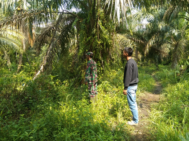 Cegah Karhutla, Koptu Erwan Sosialisasikan Bahaya Karhutla