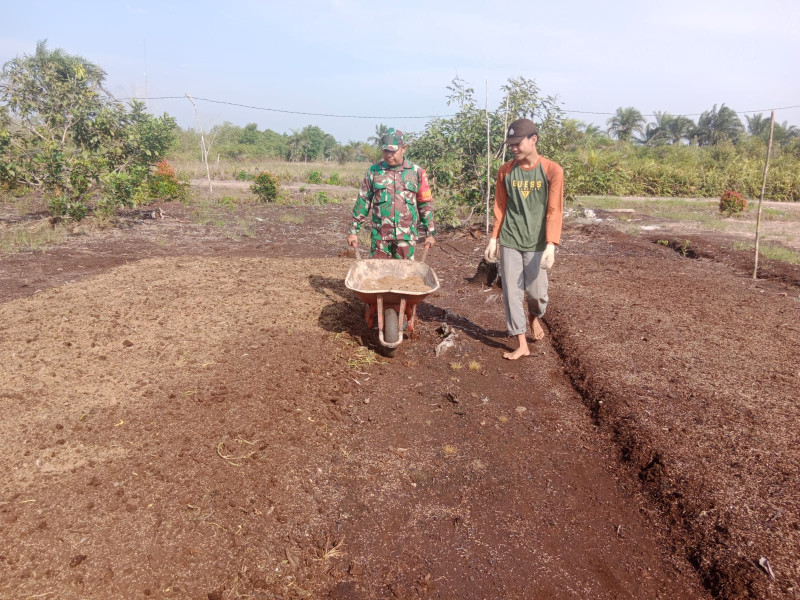 Pendampingan Babinsa Koramil-01/Dumai dalam Karya Nyata di Lahan Sayur Bayam RT 03