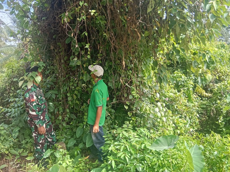 Patroli Karhutla Ditingkatkan, Wilayah Rawan Jadi Perhatian Khusus Babinsa