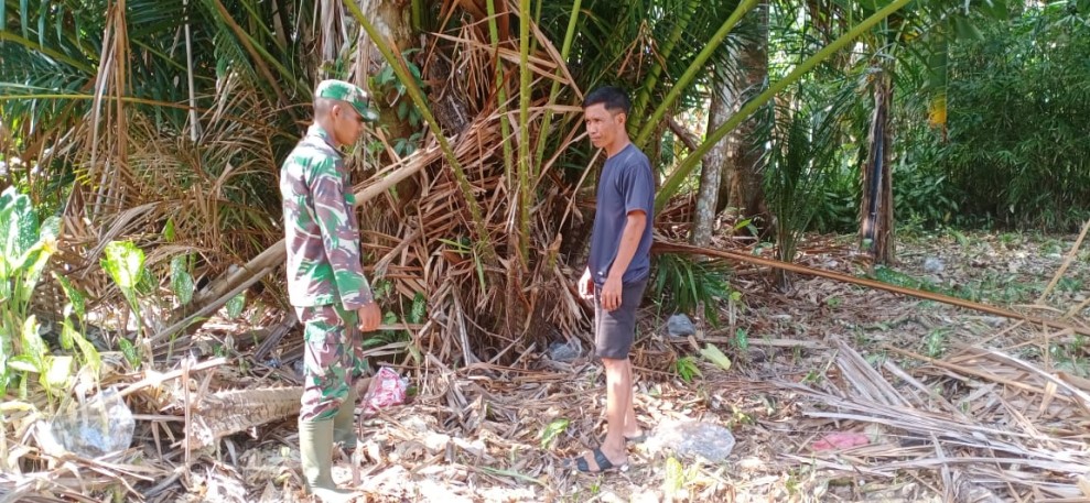Patroli Teritorial Babinsa Lukit Perkuat Pencegahan Kebakaran Hutan dan Lahan