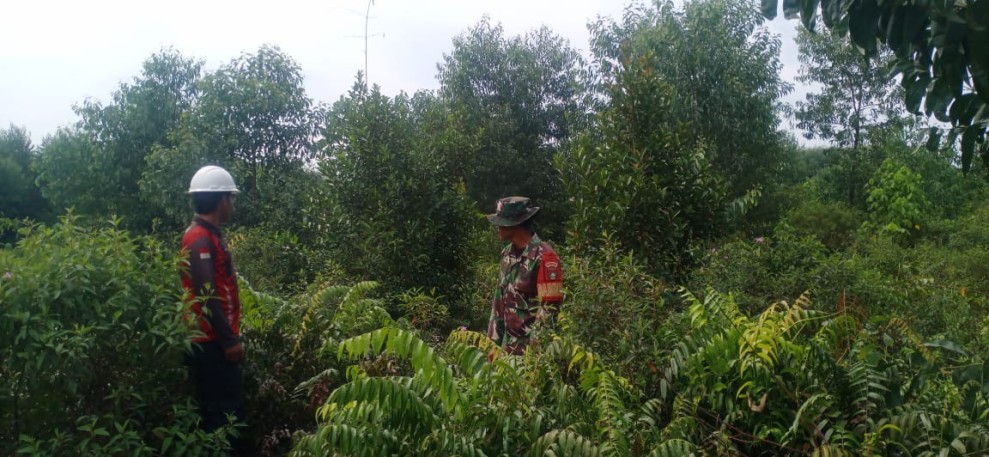 Upaya Pencegahan Karhutla Diperkuat, Koramil 06/Merbau Tingkatkan Pengawasan Wilayah Rawan