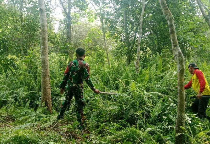 Wilayah Desa Mengkirau Nihil Titik Api Saat Patroli Karhutla Digelar