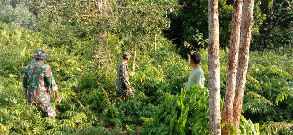 Pencegahan Karhutla Dengan Cara Menyampaikan Larangan Dilakukan Oleh Babinsa Koramil 06 Merbau